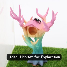 Daerky Jumping Spider Tree, Spider Hiding Cave, Tree-Shaped Climbing Toy & Cave, 3D Printed Decorative Accessory for Jumping Spiders, Wolf Spiders, Mantises & Small Arboreal Animals (Color)