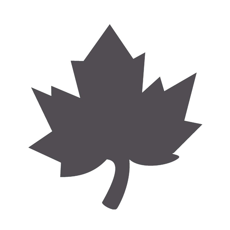 Vaessen Creative Craft Paper Punch L, Maple Leaf, for DIY