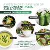 Amla Powder & Green Tea Superfood Supplement, 20x Ultra Concentrated