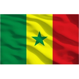 SHATCHI Large 5 x 3FT (150x90Cm) Senegal National Flag Senegalese Polyester Fabric Brass Eyelets for FIFA World Cup Football Rugby Sports Supporter, Green,Yellow and Red