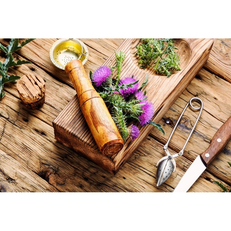 SAFLAX - Medicinal Plants - Milk Thistle - 75 Seeds