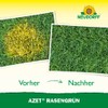 Neudorff Azet Lawn Green - Refreshes yellowish spots in the