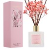 COCORRÍNA Reed Diffuser - Cherry Blossom 6.7 Fl.oz Reed Diffuser