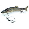SIMSA-Expert Shed Wobbler Swimbait Artificial Bait (16.5 cm, 38 g)