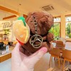 Mezrkuwr 2 Pieces Capybara Plush Key Chains Tortoise and Burger