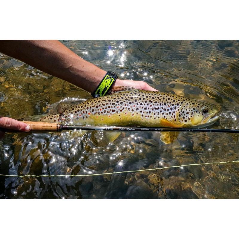 3 wt. 8'0" 4 pc. Blue Ribbon Rod