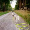 Wolfone 1.5 m Yellow Recall Lead for Dogs, Waterproof Training
