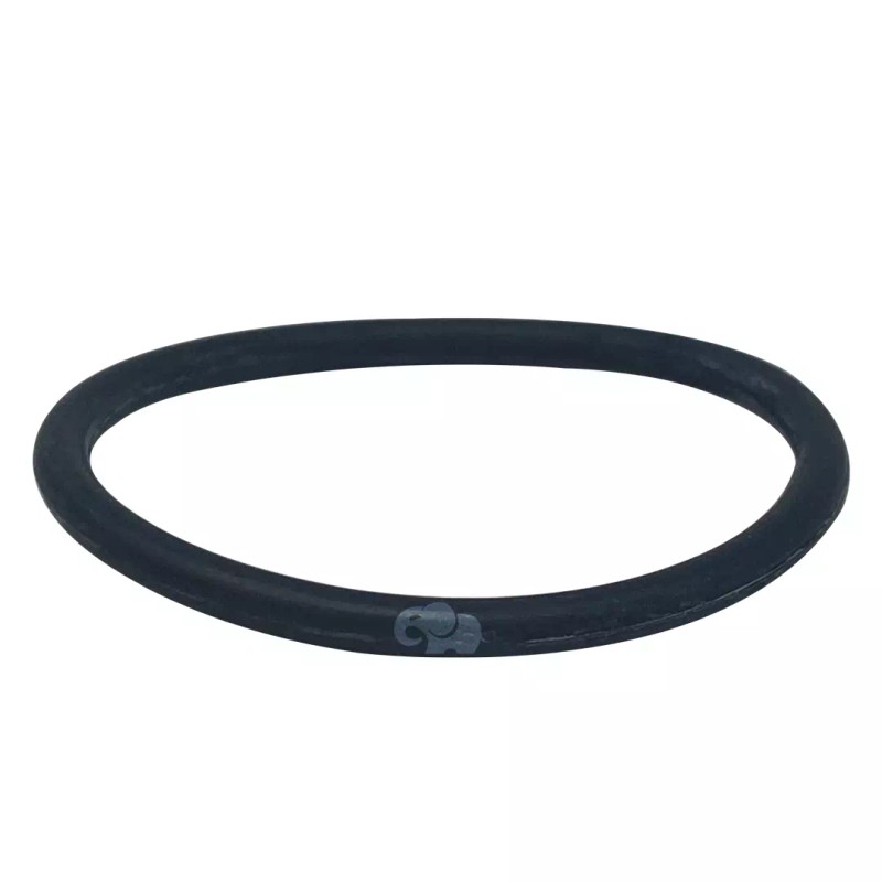 Polaris 3900 Sport O-ring WMS Upper to Vactube Interface (R0544000)