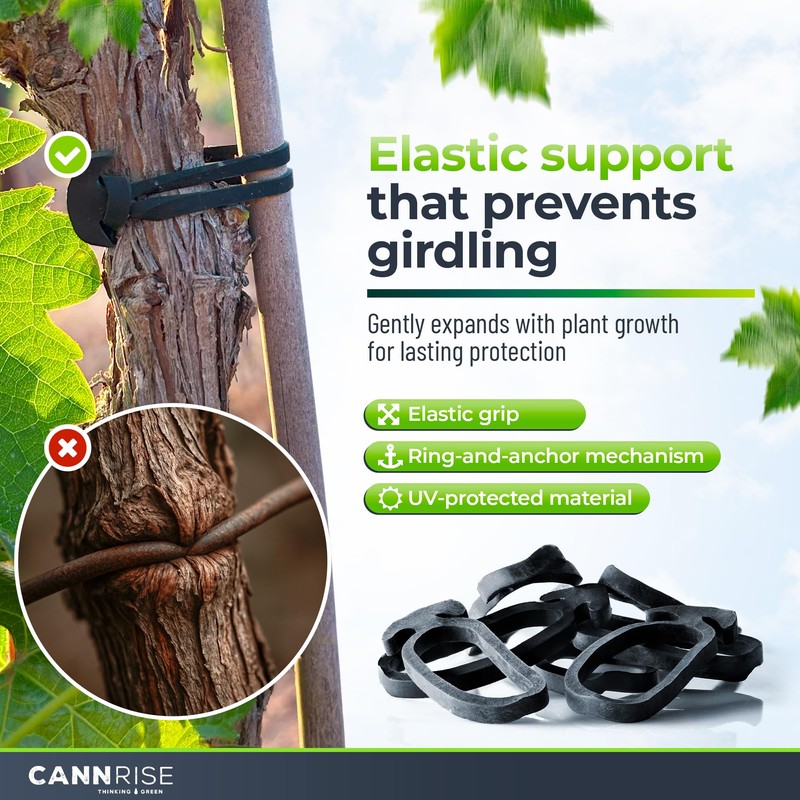 Anchor Bands for Trellising – 110-Pack 5 cm/1.96 in Rubber