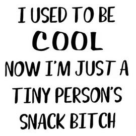 Nok Nok I Used to Be Cool Now I am a Some Tiny Person's Snack Funny NOK Decal Vinyl Sticker |Cars Trucks Vans Walls Laptop| Black |7.0 x 5.5 in|NOK2124