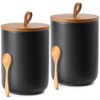 YUNLINLI Kitchen Canisters Set of 2 Large with Top Handle,