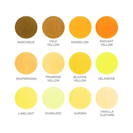 qianshan 12 Yellow Colored Pencils Oil Based Pre-sharpened Wooden Colored Pencil Set for Adults Coloring Books Drawing Sketching Art Supplies, No Duplicates