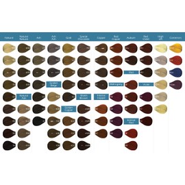 Vivitione Permanent Cream Color (6WB Dark Warm Blonde) 3oz. - 100% Grey Coverage, Long Lasting Shine, Made in Italy.