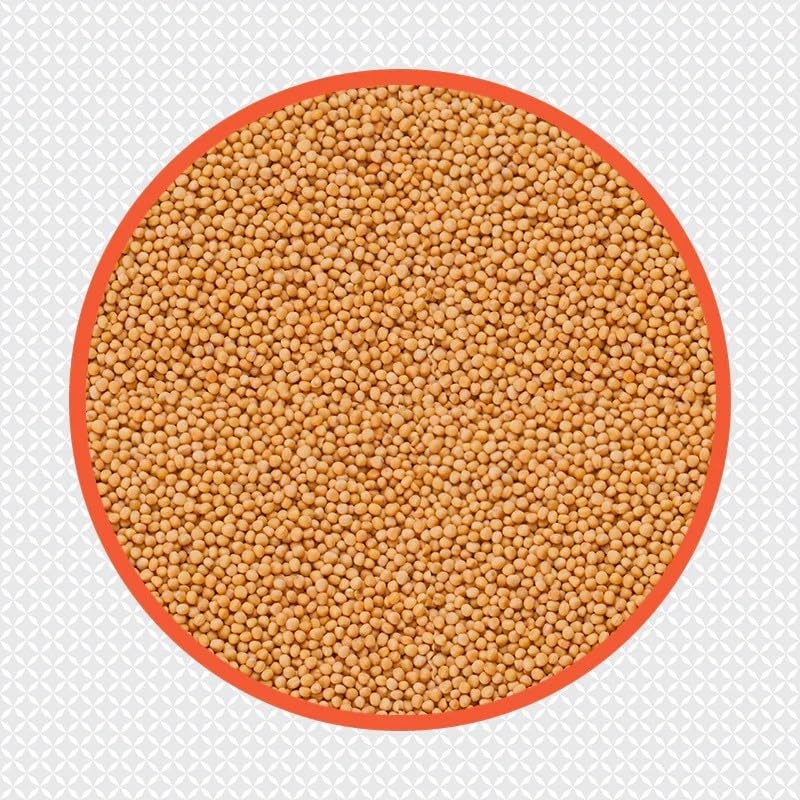 Ambika Yellow Mustard Seeds 17.6 oz (500 g)