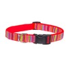 Small Lime/Coral Stripe Dog Collar: 5/8" Wide, Adjusts 10-14" -
