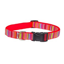 Small Lime/Coral Stripe Dog Collar: 5/8" Wide, Adjusts 10-14" - Made in USA.