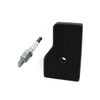 Honda OEM EU2000i Generator Tune Up Kit: (1) 17211-Z07-000, (1)
