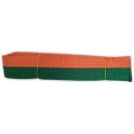 Pandiui23 Professional Taekwondo Karate Judo Double Wrap Martial Arts Stripe Sports Belt (1, Orange Green, 2.8M)