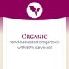 Natural Factors, Oil of Oregano 180 mg, Helps Maintain Good