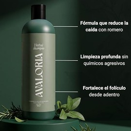 Shampoo Sin Sulfatos, Parabenos ni Sales – Anticaída con Romero – Extracto 100% Natural con 10 Hierbas – Hidratación, Brillo y Crecimiento – Herbal - 480 ml
