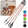 Three-Way No-Tangle Leash for 3 Dogs - Reflective, 360 Swivel