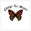 Chinga La Migra Bumper Sticker Vinyl Decal 5"