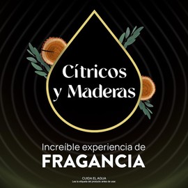 Air Wick Aromatizante de Ambiente Eléctrico, Cítricos y Maderas, difusor y 1 repuesto de 23.9 ml