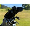 Golf Head Covers – Driver, Fairway Wood, Hybrid. Protective &