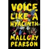 Voice Like a Hyacinth: A Novel