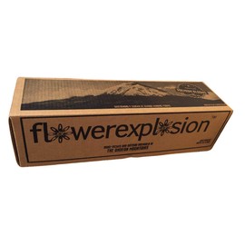 24 Stems - Fresh Rainbow Roses Bouquet by Flower Explosion