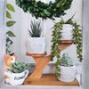 White Owl Ceramic Succulent Pots, 3Pcs Modern Decorative Flower Planters