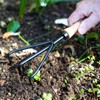 Hand 3 Prong Cultivator - Carbon Steel
