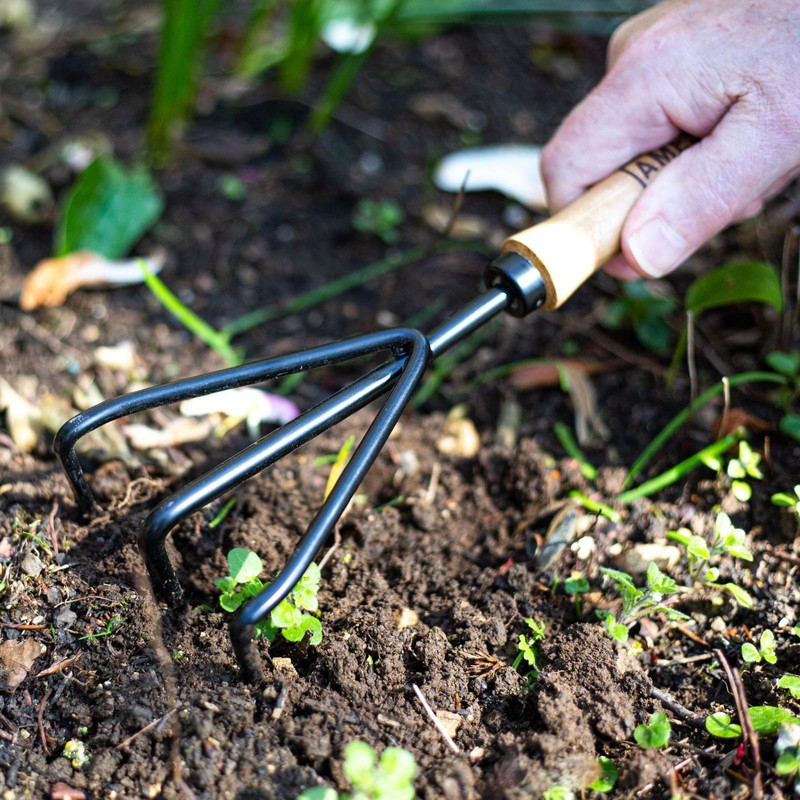 Hand 3 Prong Cultivator - Carbon Steel