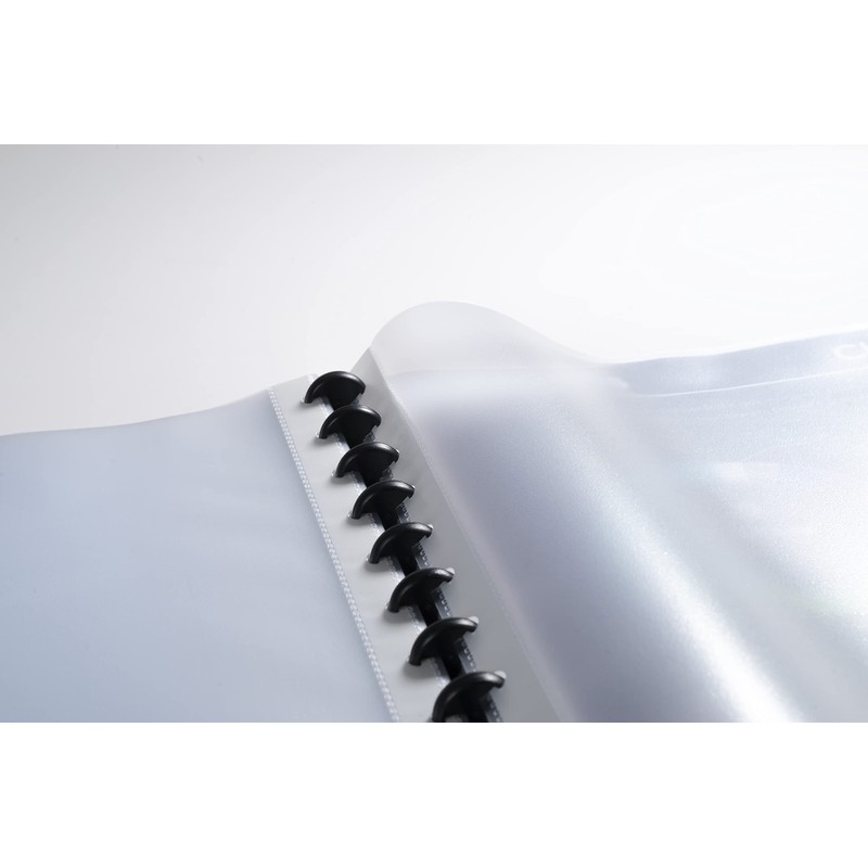 Exacompta 86351E Display Folder (30 Pockets (60 Views) Opaque, Repositionable