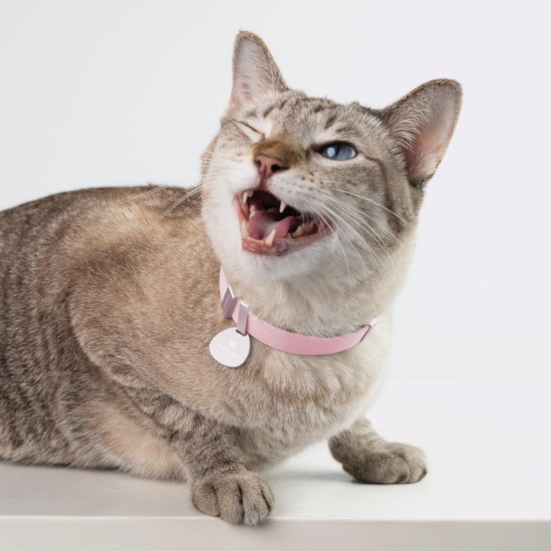 Safety Cat Collar Pro - U.S. IDA Gold Awarding Design,