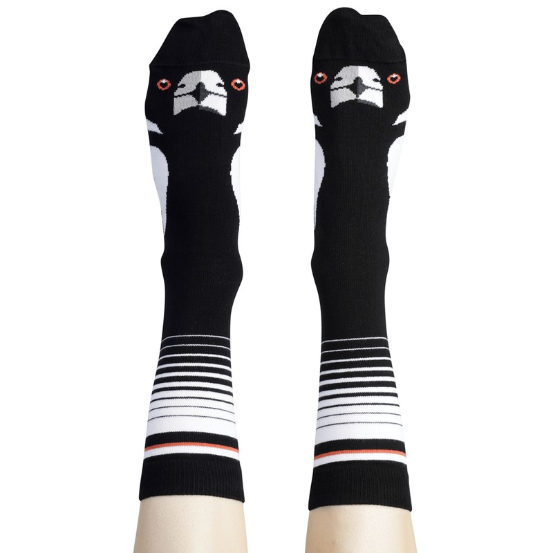 Wilson Payne Out On The Patio Bundle - Australian Made