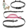 Hands Free Dog Leash for Running, Walking, Hiking, Cycling and
