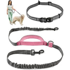 Hands Free Dog Leash for Running, Walking, Hiking, Cycling and Training | Bungee Harness with Adjustable Waist Belt, Padded Handle and Reflective Stitching | for Large Dogs
