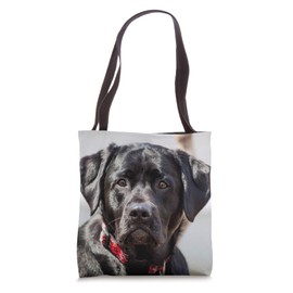 Black Lab Pet Dog Labrador Retriever Photo Tote Bag