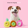 Barkbox Dog Toys – Fruity Cutie Tropical Trio Squeaker Ball
