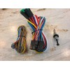 Compustar Firstech Compustar Artic Start CM9 CM900 Control Module Wiring