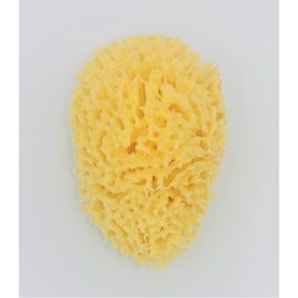Natural Sea Cotton Body Sponge L