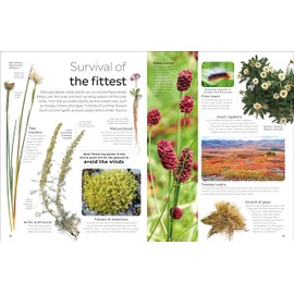 Eyewitness Arctic and Antarctic