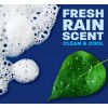 Dawn Platinum Dishwashing Liquid Dish Soap, Refreshing Rain 90 fl.
