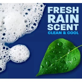 Dawn Platinum Dishwashing Liquid Dish Soap, Refreshing Rain 90 fl. oz.