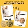 SunGrow Assorted Rabbit Chew Balls, Teething Activity Toy for Pocket