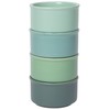 Now Designs Leaf Set of 4 Stoneware Ramekins (L68006)