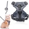 YUBBYSTU Cat Harness and Leash Set for Walking, Adjustable Kitten