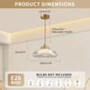 Qufute Small Glass Pendant Light Fixtures One-Light Gold Brass Dining
