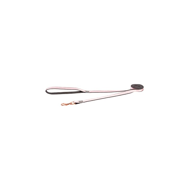 Rogz Classic Urban Dog Lead Pink Small